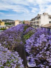 Jacaranda Theme Park