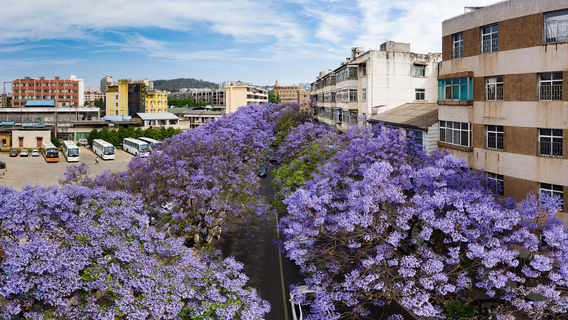 Kunming
