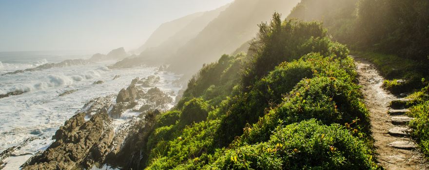 Tsitsikamma National Park