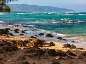 Laniakea Beach