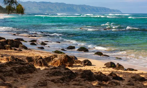 Laniakea Beach