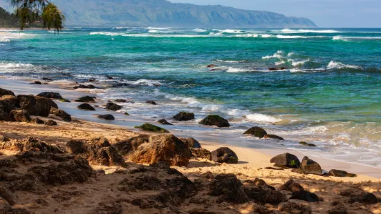 Laniakea Beach