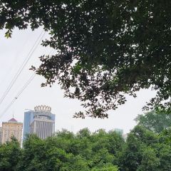 Rice Community Restaurant User Photo