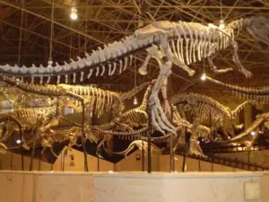 Lufeng Dinosaur Fossil Site