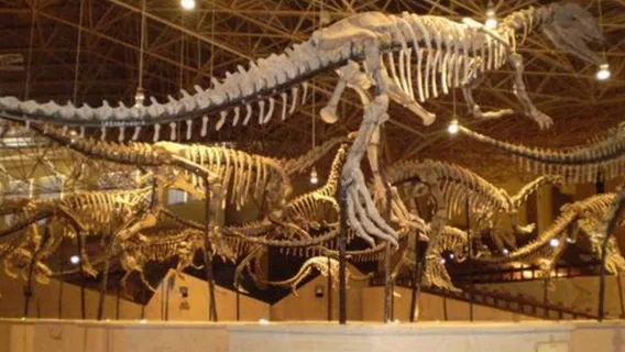 Lufeng Dinosaur Fossil Site