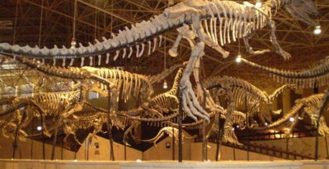Lufeng Dinosaur Fossil Site