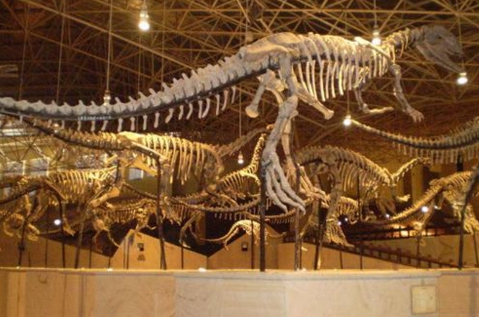 Lufeng Dinosaur Fossil Site