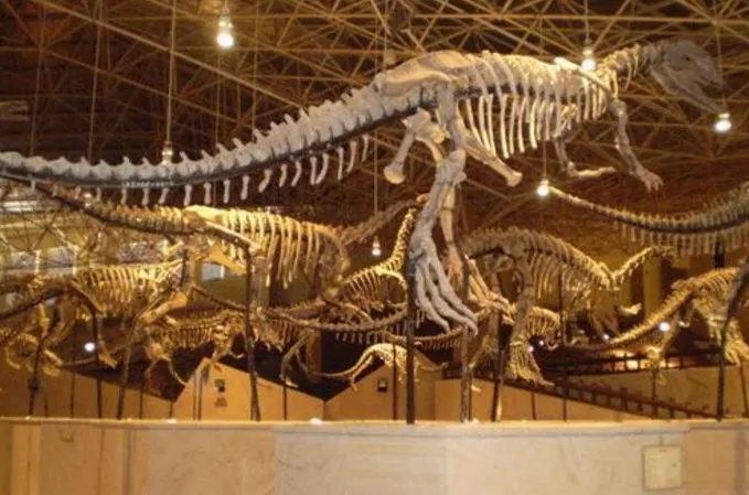 Lufeng Dinosaur Fossil Site
