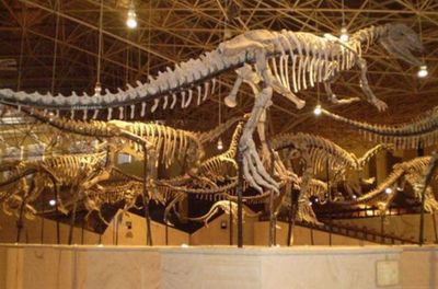 Lufeng Dinosaur Fossil Site