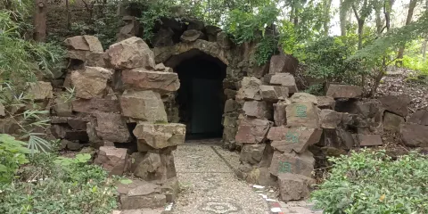 隆力奇東方蛇園