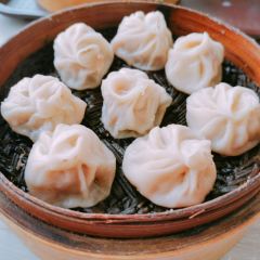 XinFeng XiaoChi (QingChun) User Photo