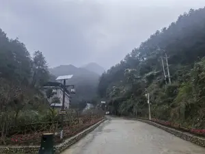 Guanyin Mountain Forest Park