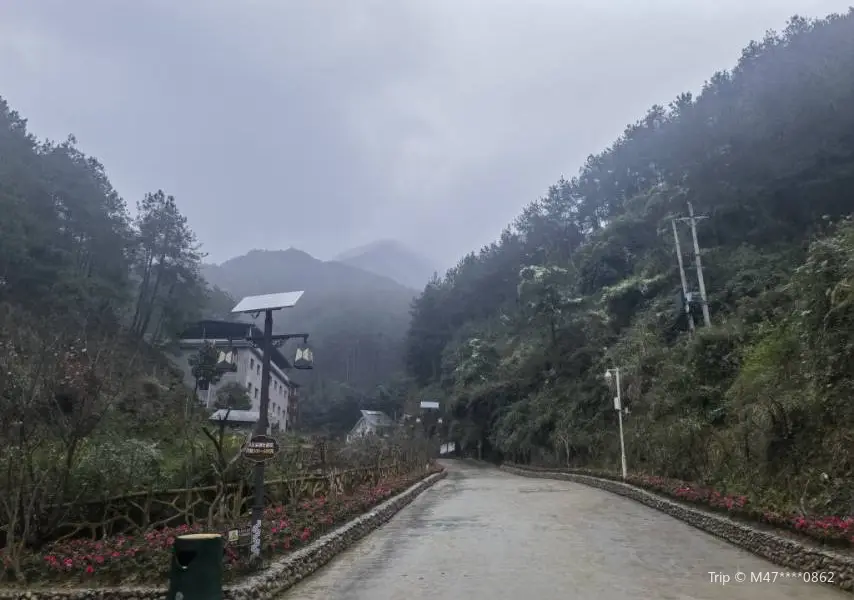 Guanyin Mountain Forest Park