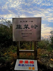 Jiucai Mountain