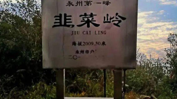 Jiucai Mountain