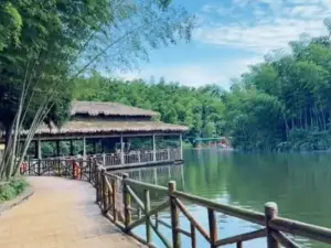 The Lake in the Bamboo Sea