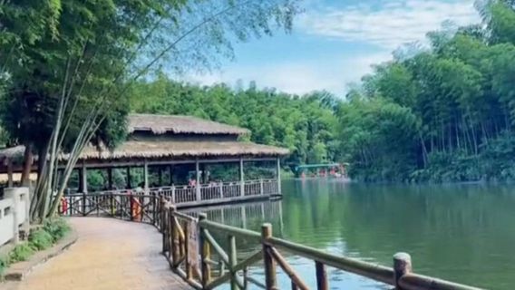 The Lake in the Bamboo Sea