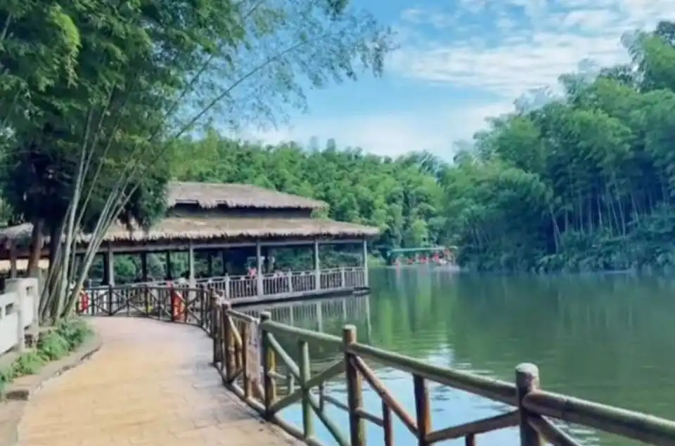 Hotels near The Lake in the Bamboo Sea