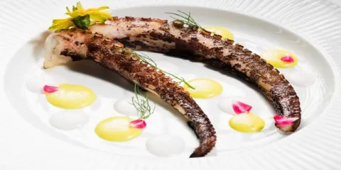 Bequadro Restaurant And Sound