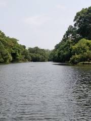 Kuruva Reserve Forest