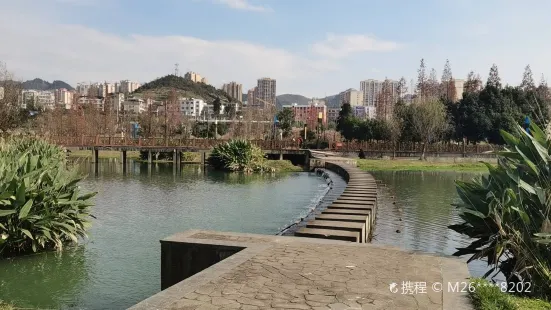 清蓮湖濕地公園