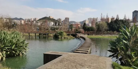 清蓮湖濕地公園