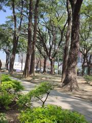 Mingcheng Park