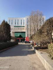 The Fenyang Library
