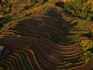 Xinshan Terraces