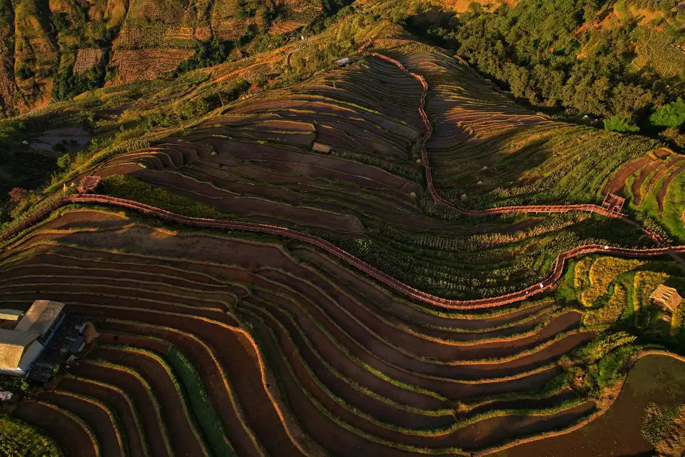 5_Xinshan Terraced Fields