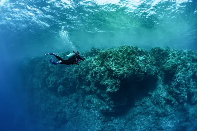 Diving in Pattaya