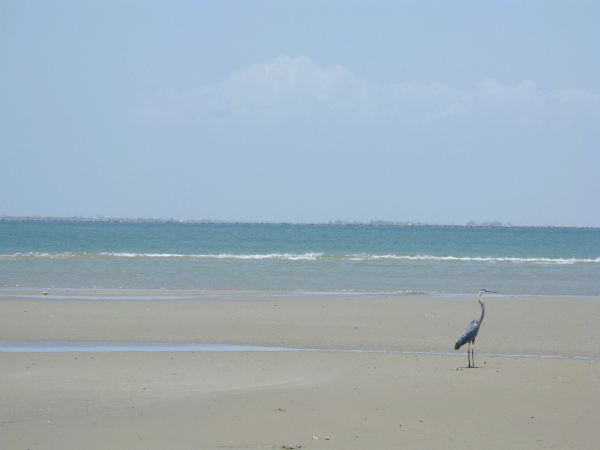 East Beach (R.A. Apffel)