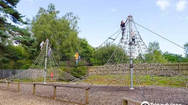 New Forest Wildlife Park