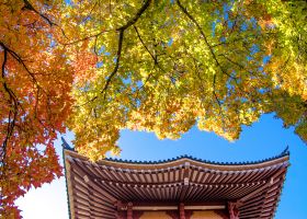 淮安から名古屋の飛行時間