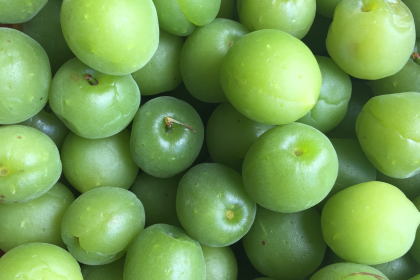 YANG'S HANDMADE FINE CHEESE·DIAOMEI