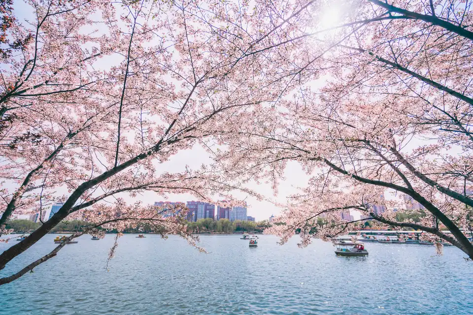 3_Beijing Yuyuantan Park