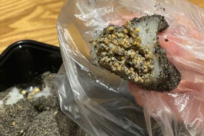 Yeshi Fried Glutinous Pudding