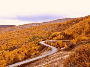 Dada Road