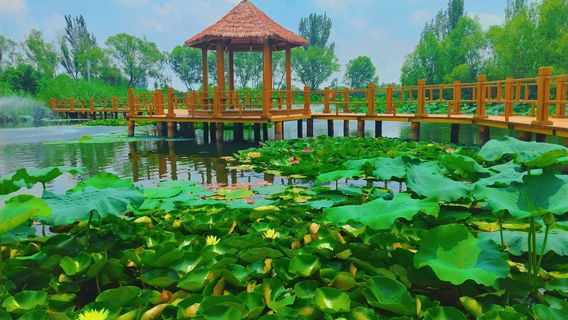 shui an he ting nong jia yuan