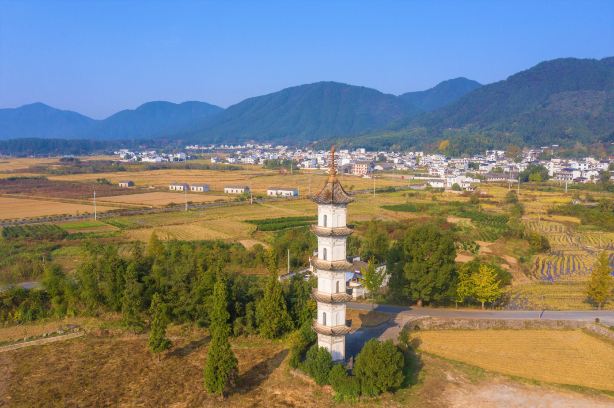 碧山