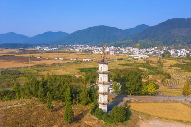 碧山