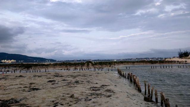 ling zi cun gan hai dian