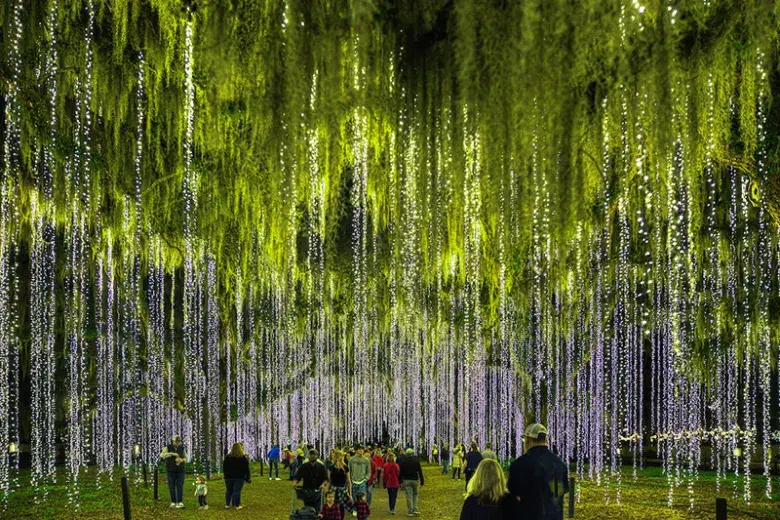 Night of a Thousand Candles | Georgetown County