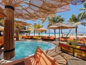 Top 20 Bars in Phuket