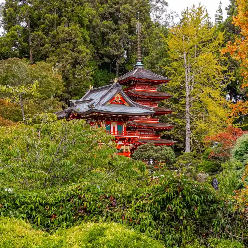 Popular Fall Viewing Attractions in San Francisco