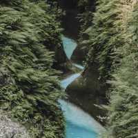 Dao Falls in the South! 