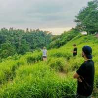 enjoy the lush green while burn calories