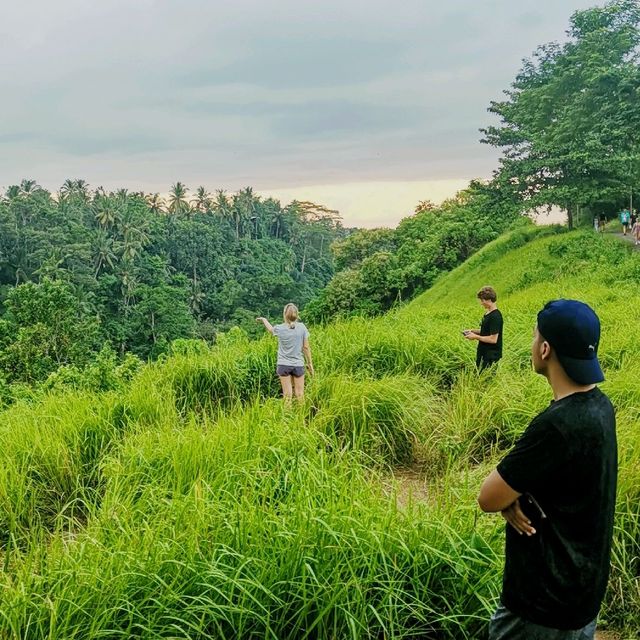 enjoy the lush green while burn calories