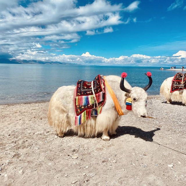 Namtso, the holy lake of Tibet 