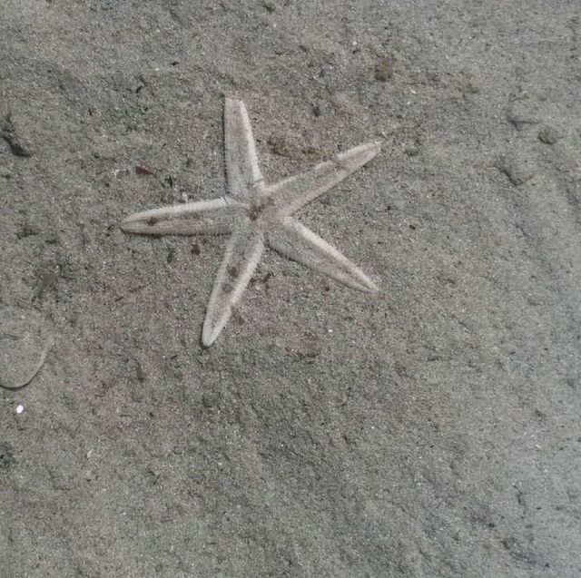 港版馬爾代夫~隱世沙灘大浪西灣